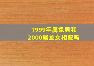 1999年属兔男和2000属龙女相配吗