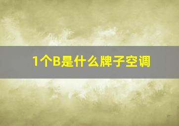 1个B是什么牌子空调