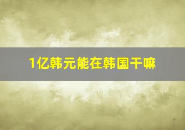 1亿韩元能在韩国干嘛