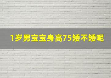 1岁男宝宝身高75矮不矮呢