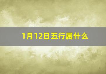 1月12日五行属什么