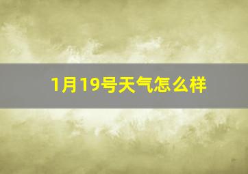 1月19号天气怎么样