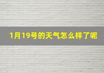 1月19号的天气怎么样了呢