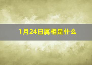 1月24日属相是什么