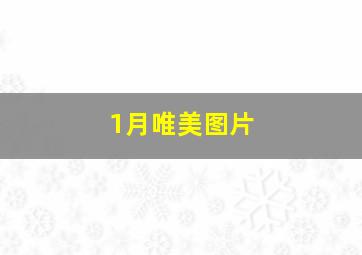 1月唯美图片