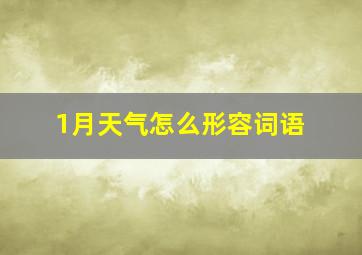 1月天气怎么形容词语