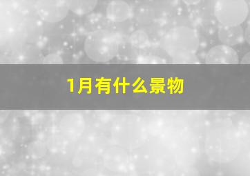 1月有什么景物