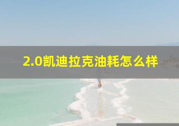 2.0凯迪拉克油耗怎么样