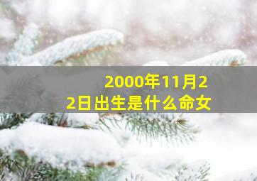 2000年11月22日出生是什么命女