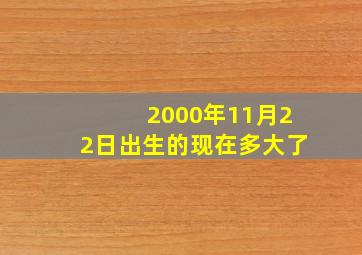 2000年11月22日出生的现在多大了