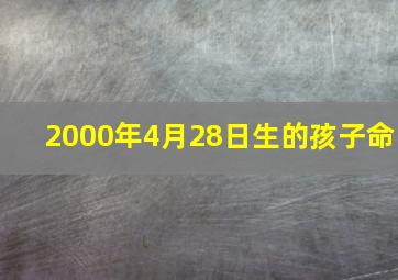 2000年4月28日生的孩子命