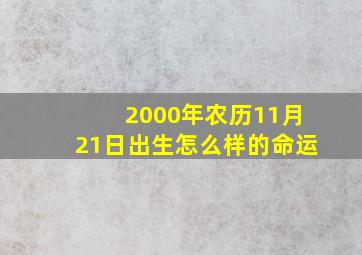 2000年农历11月21日出生怎么样的命运