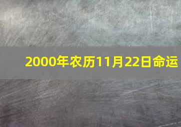 2000年农历11月22日命运