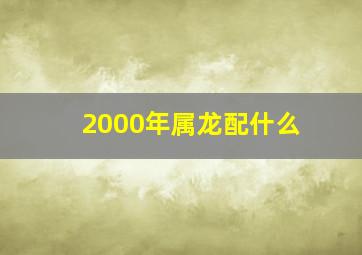 2000年属龙配什么