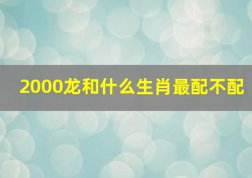 2000龙和什么生肖最配不配