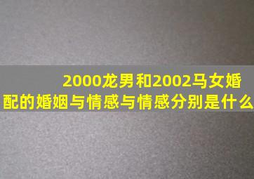 2000龙男和2002马女婚配的婚姻与情感与情感分别是什么