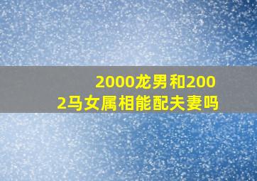 2000龙男和2002马女属相能配夫妻吗