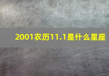 2001农历11.1是什么星座