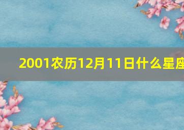 2001农历12月11日什么星座