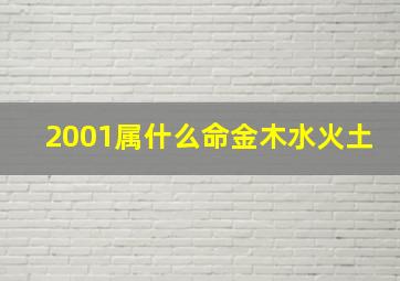 2001属什么命金木水火土