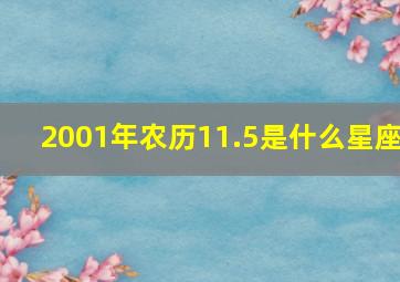 2001年农历11.5是什么星座