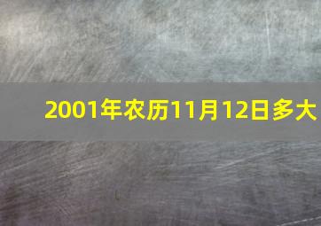 2001年农历11月12日多大