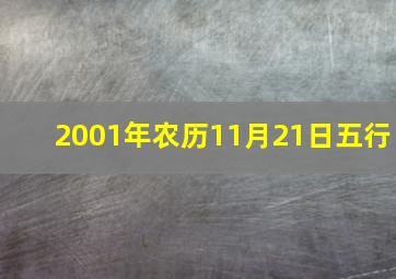 2001年农历11月21日五行