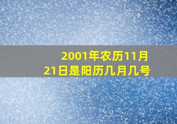 2001年农历11月21日是阳历几月几号