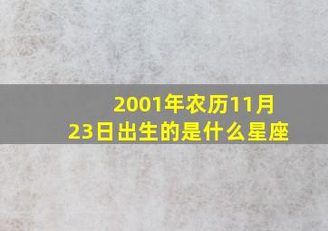 2001年农历11月23日出生的是什么星座