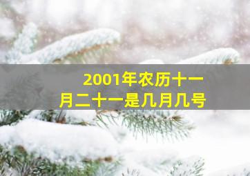 2001年农历十一月二十一是几月几号