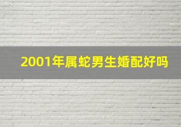 2001年属蛇男生婚配好吗