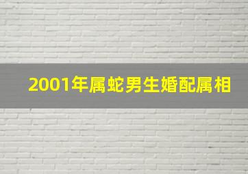 2001年属蛇男生婚配属相