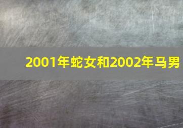 2001年蛇女和2002年马男