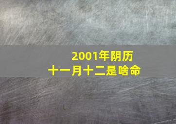 2001年阴历十一月十二是啥命