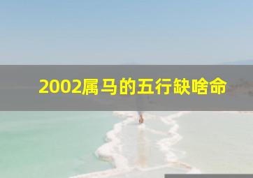 2002属马的五行缺啥命