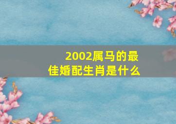 2002属马的最佳婚配生肖是什么