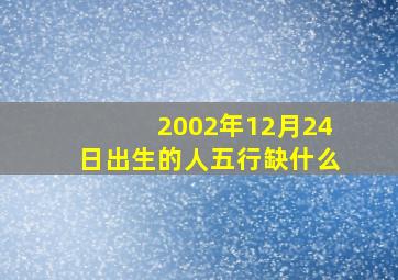 2002年12月24日出生的人五行缺什么