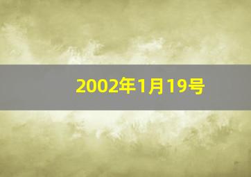 2002年1月19号