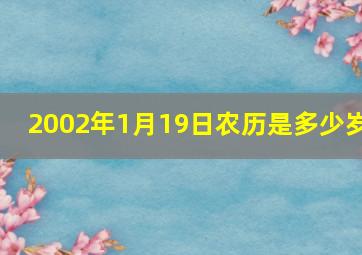 2002年1月19日农历是多少岁