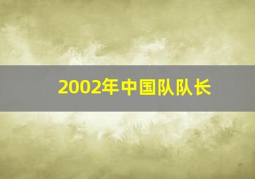 2002年中国队队长