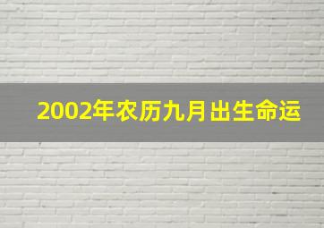 2002年农历九月出生命运