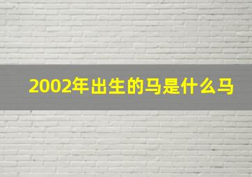 2002年出生的马是什么马