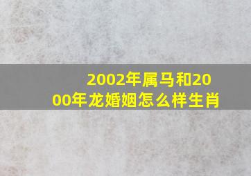 2002年属马和2000年龙婚姻怎么样生肖