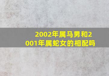 2002年属马男和2001年属蛇女的相配吗