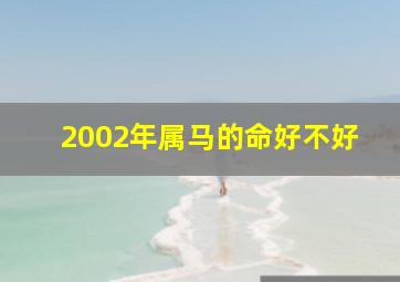 2002年属马的命好不好