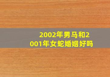 2002年男马和2001年女蛇婚姻好吗