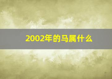 2002年的马属什么