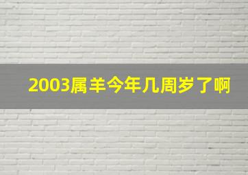 2003属羊今年几周岁了啊