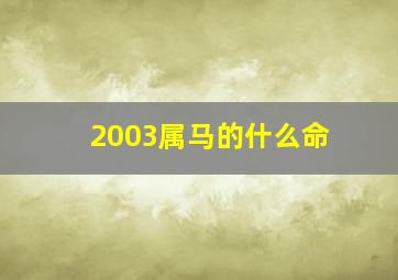 2003属马的什么命