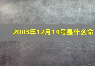 2003年12月14号是什么命